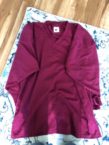 Hockey Used Adult Large Jersey #41