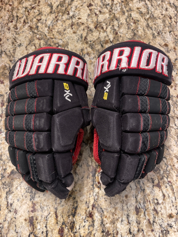 Warrior 12" Dynasty AX2 Gloves