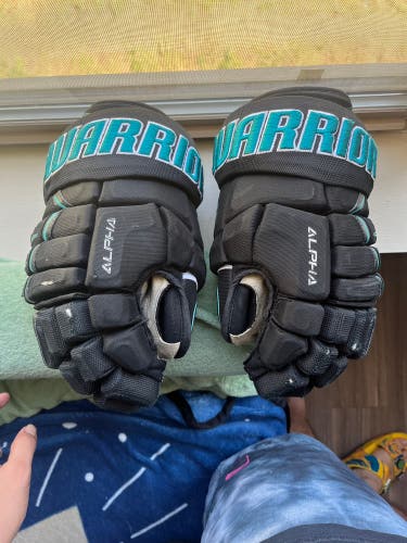 Warrior 13"  Alpha Pro Gloves
