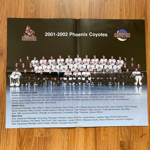 Arizona Coyotes NHL HOCKEY 2001-2002 TEAM PHOTO Commemorative Newsletter Poster!