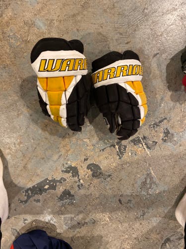 Warrior 12" Alpha Pro Gloves