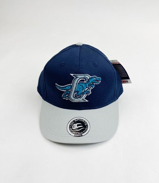  MLB Toronto Blue Jays Youth The League 9Forty Adjustable Cap,  One Size, Blue : Sports Fan Baseball Caps : Sports & Outdoors