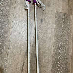 Ski Alpine Kids Poles