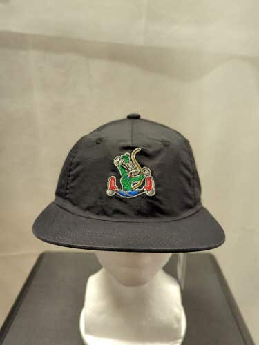 NWT Goofey AdidasxDisney Snapback Hat