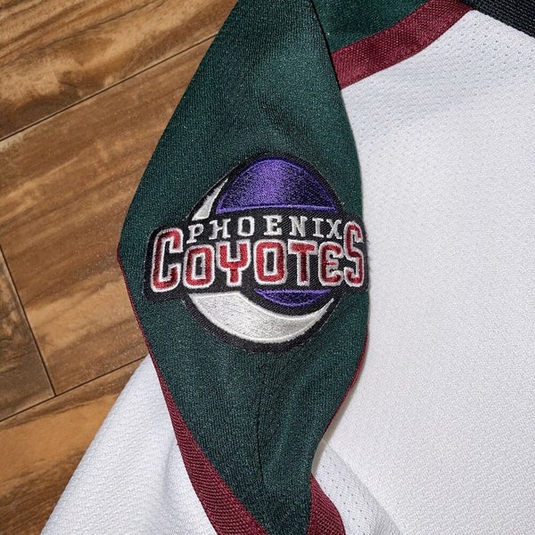 Phoenix Coyotes Kachina Jersey Vintage Logo Athletic White XL