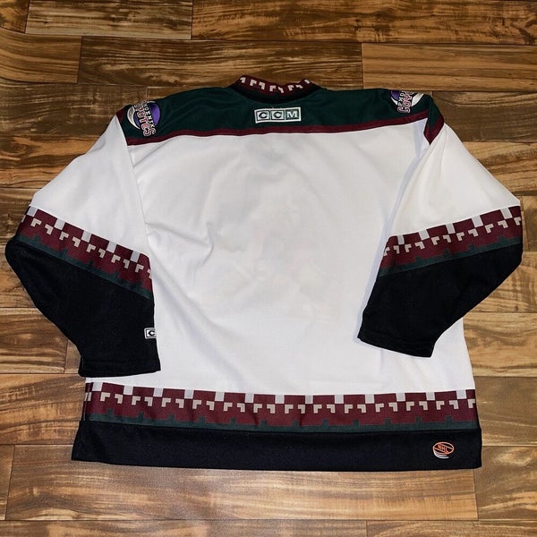 Phoenix Coyotes Sweatshirt 90s NHL Sweatshirt Hockey Sports Long