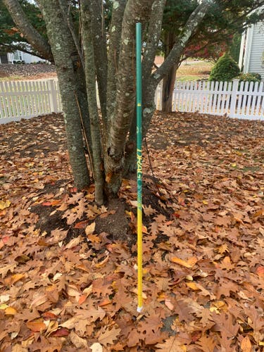 LIMTED EDITION Hudson Valley D/LSM Shaft Used