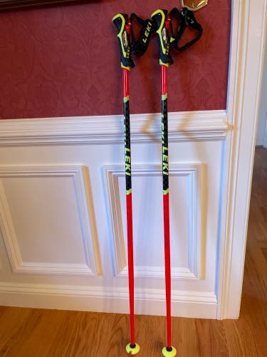 Used 46in (115cm) Racing World Cup Lite SL Ski Poles