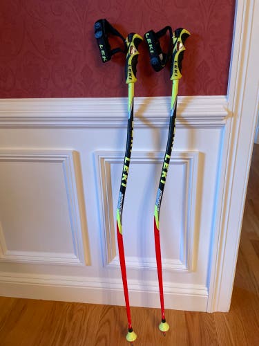 Used 42in (105cm) Racing World Cup Lite GS Ski Poles