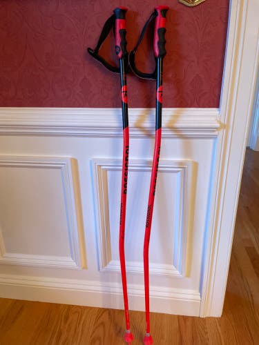 Used 46in (115cm) Racing HERO GS/SG Ski Poles