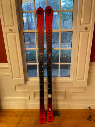 Used Racing Racetiger Speedwall WC Skis