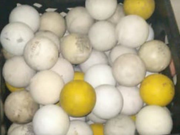 120 Used Lacrosse Balls