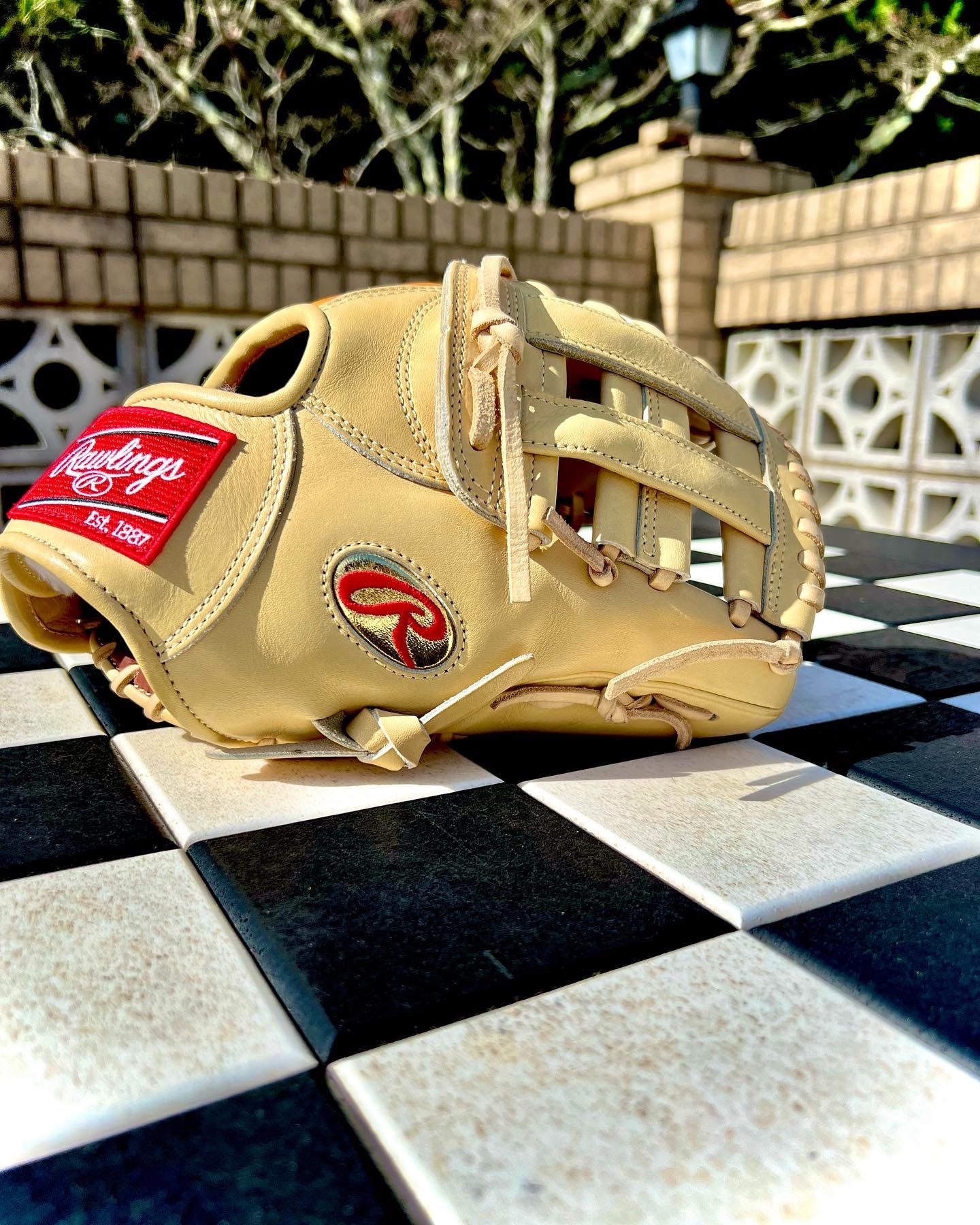 Gameday 57 Series DJ LeMahieu Pro Preferred Glove