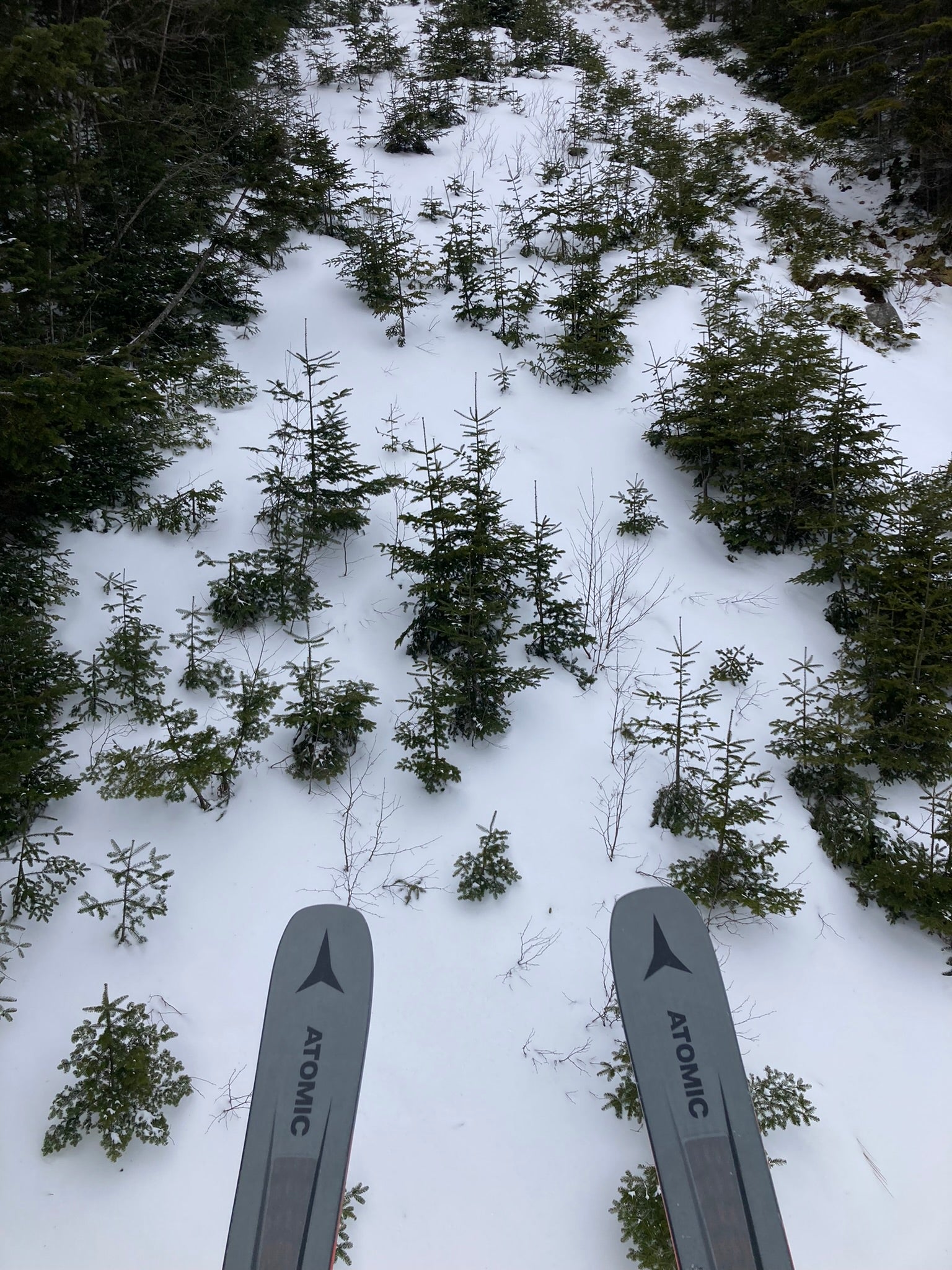 Used Men's 2020 Atomic 176 cm All Mountain Vantage 90 ti Skis With