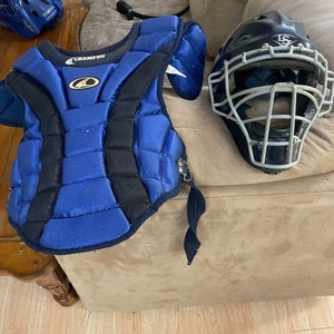 Chest protector and helmet