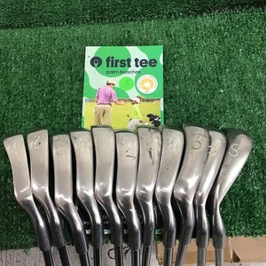 Tour Special Edition Iron Set 1-PW, SW With Regular Steel Shafts