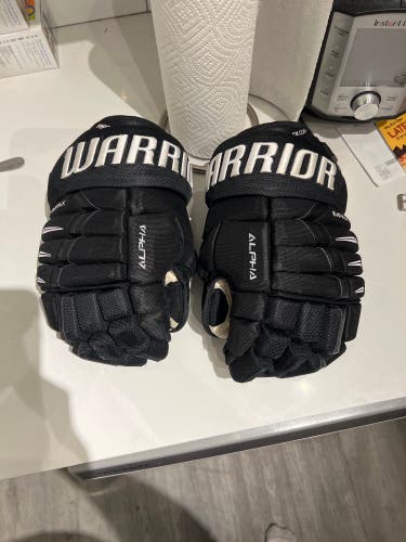 Warrior 13" Alpha DX Pro Gloves