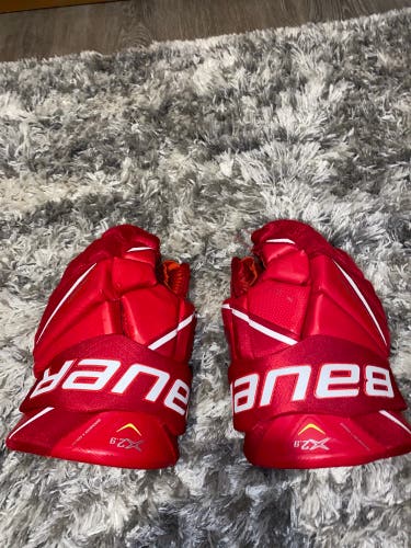 Bauer 14"  Vapor X2.9 Gloves