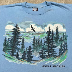 Great Smoky Mountains T Shirt Men Large Blue Vintage 90s Nature Hike Ski USA