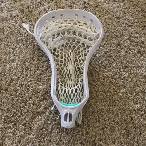 wolf athletics lacrosse head