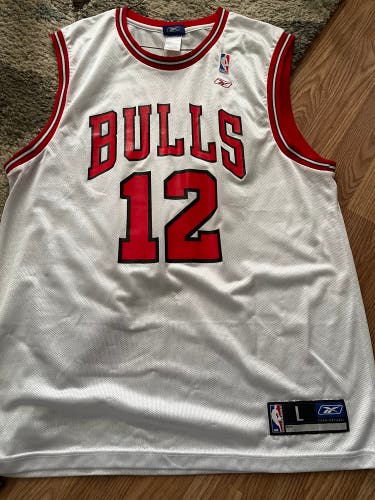 Bulls Hinrich jersey