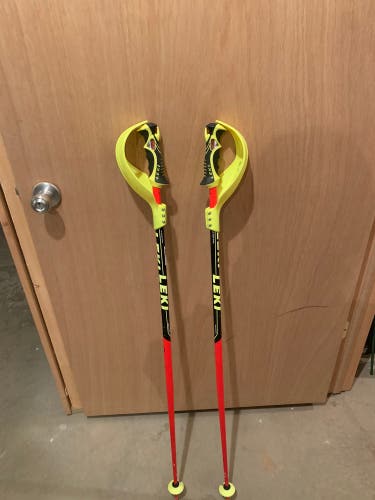 LEKI Slalom Poles
