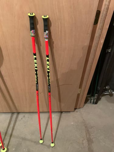 LEKI GS Race Poles