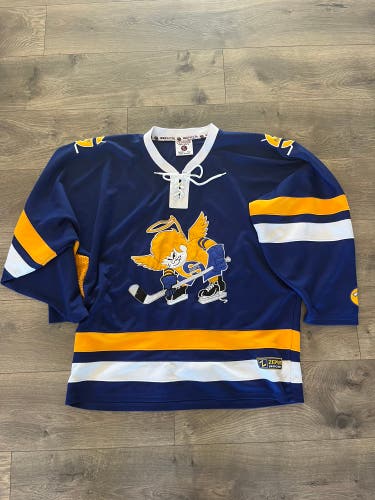 Minnesota Fighting Saints Jersey - 52