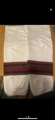 Hershey bears game used socks 2 Pairs