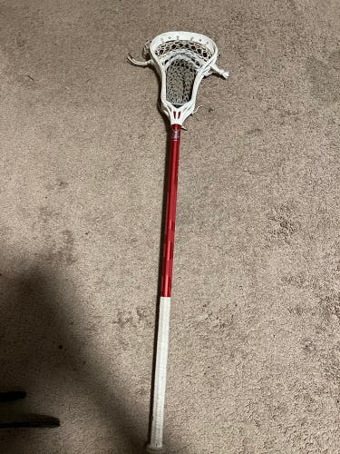 Lacrosse Shaft And Head