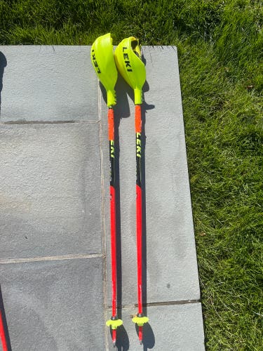Used 40in (100cm) Racing Ski Poles