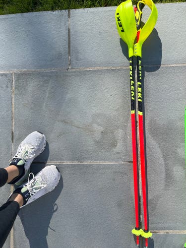 Used 44in (110cm) Leki Ski Poles