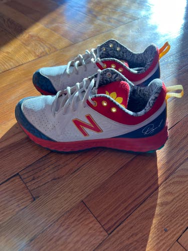 David’s Sunflower Seeds Turf Cleats