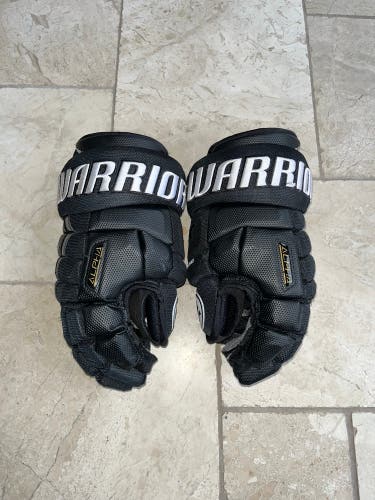 Warrior Alpha DX 14"  Gloves