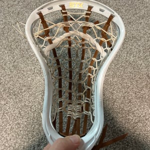 Used Traditional Strung Stallion Head