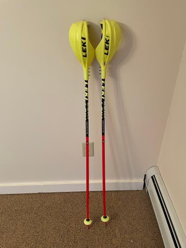 Leki SL 115cm With Guards