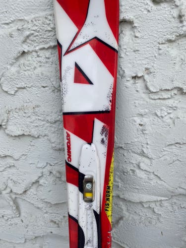 Unisex 2018 151 cm Without Bindings Redster FIS GS Skis