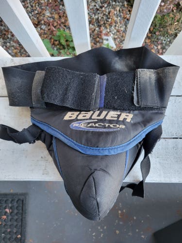 Used Bauer Reactor