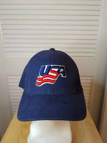 Vintage USA Hockey Nike Flex fit Hat