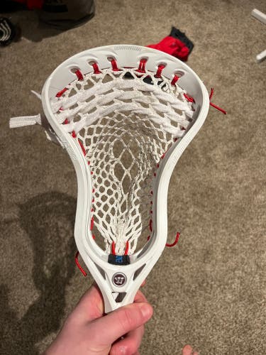 Evo Qx-D Head For Trade Don’t But Please