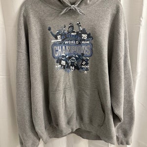 Vintage 2014 New England Patriots Champs Hoodie