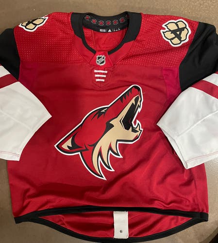 Arizona Coyotes Adidas Goalie Jersey