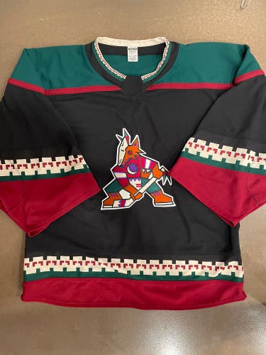 Arizona Coyotes Kachina Goalie Jersey