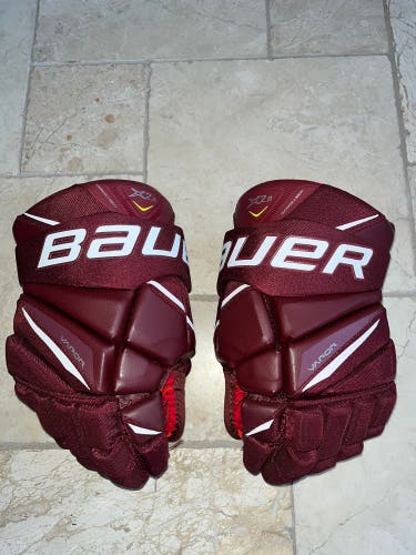 Bauer 14"  Vapor X2.9 Gloves