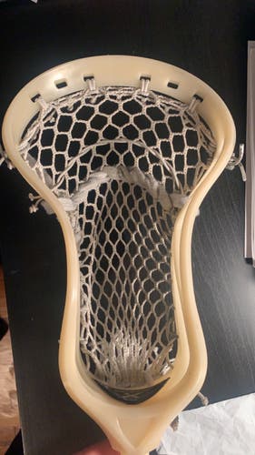 Rare natural ECD Weapon X Head