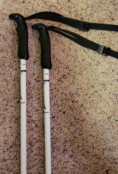 Atomic APT Aluminum Ski Poles 46 inch 115cm White/Black
