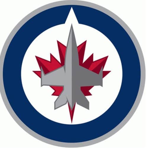NHL Winnipeg Jets butt end plugs (pack of 3)