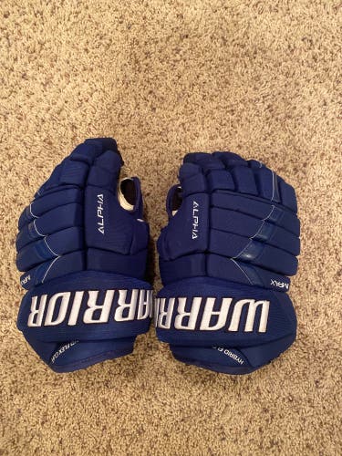 Used Warrior 13"  Alpha Pro Gloves