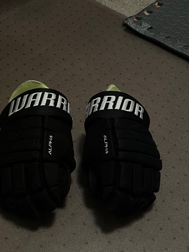 Used Warrior 13"  Alpha DX3 Gloves