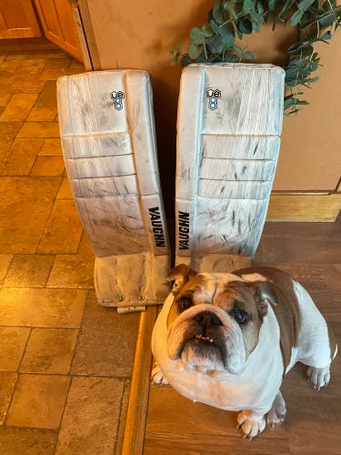 Used 26" Vaughn Velocity VE8 Goalie Leg Pads